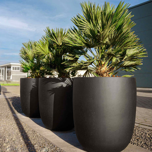 Grigio Tall Egg Pot Antracite