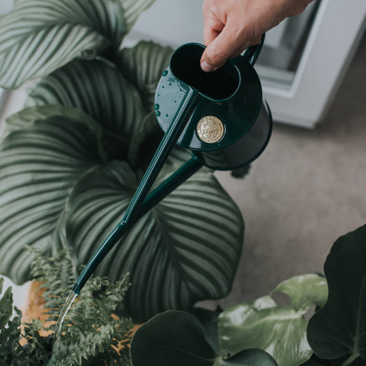 HAWS The Fazeley Flow Green konev - 1l