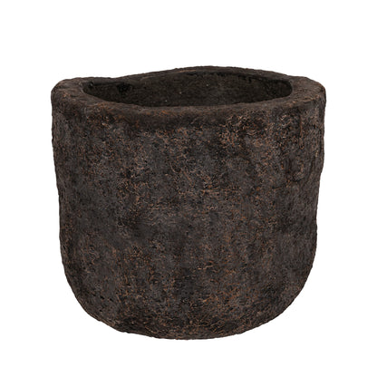 Hollow Fossil Dark
