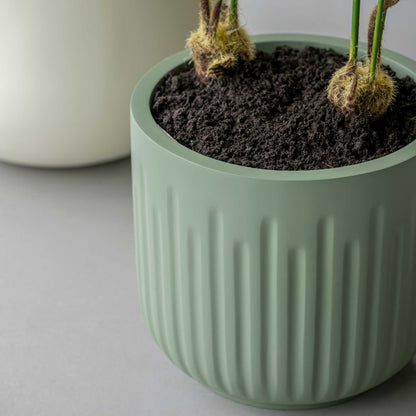 Arcus Sage Green