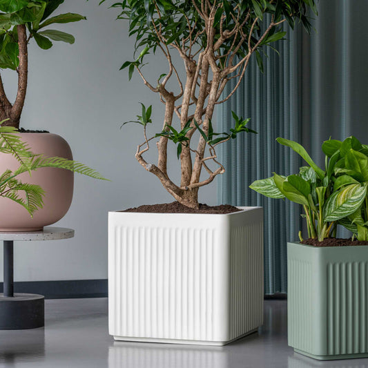 Block Linea Sage Green
