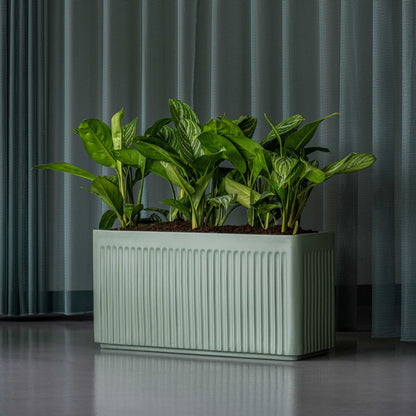 Jort Linea Sage Green