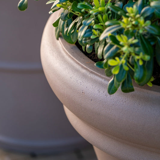 Jumbo Bucket Low Classic Taupe