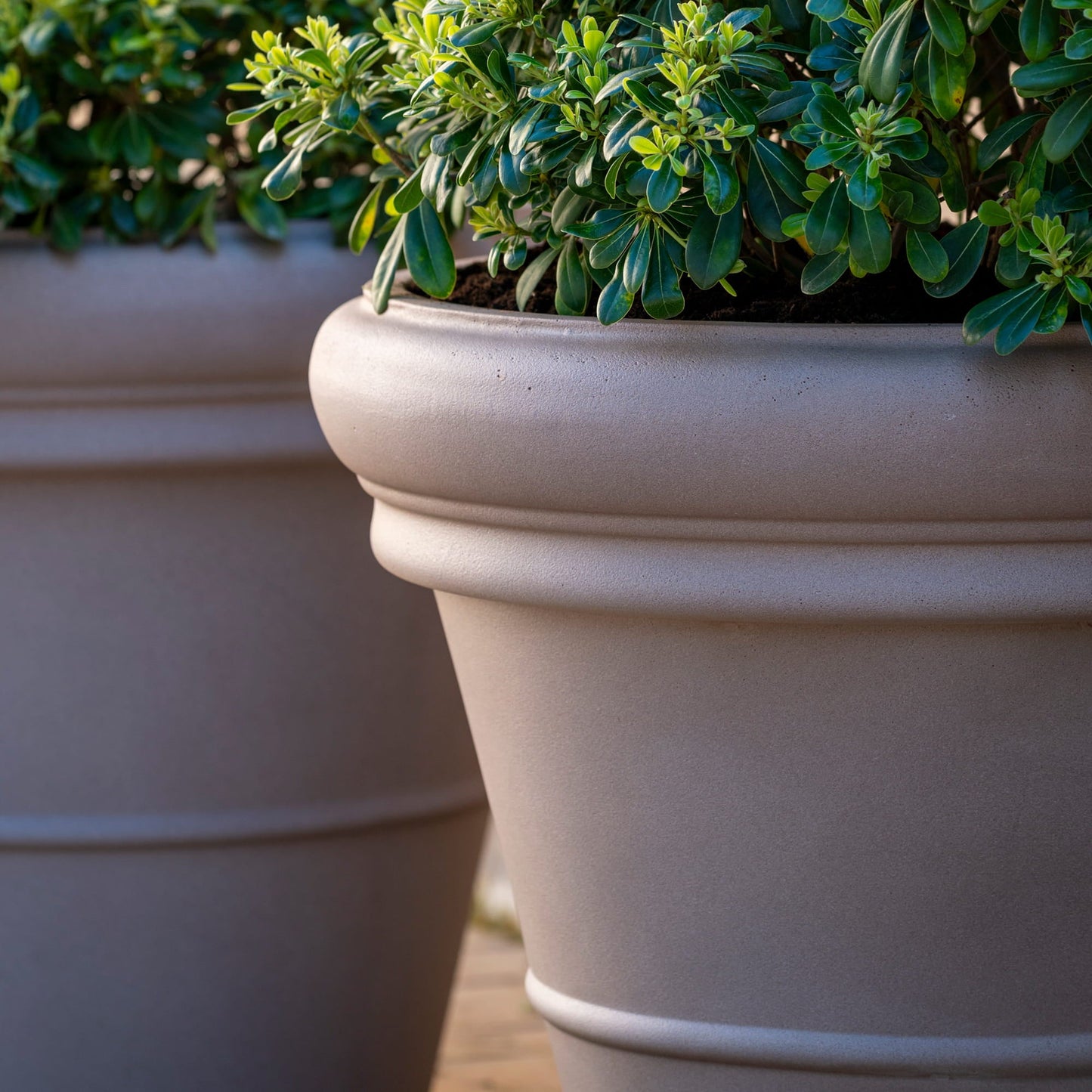Jumbo Bucket Low Classic Taupe