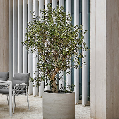 Jumbo Charlie Beige Washed