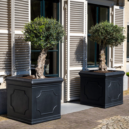 Jumbo Classic Black
