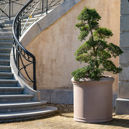 Jumbo Max Classic Taupe