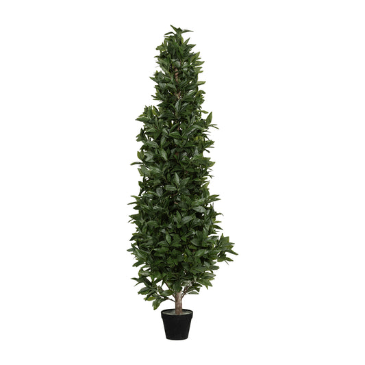 Laurus Nobilis Pyramid umělý
