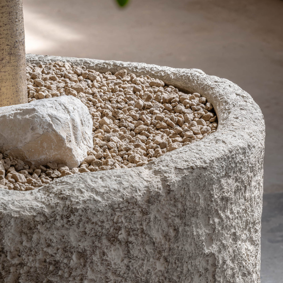 Mesa Fossil Sand