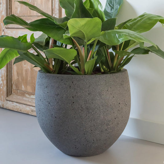 Mini Orb Dioriet Grey