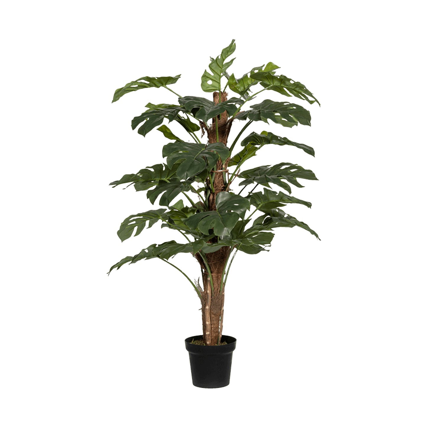 Monstera Pertusum umělá