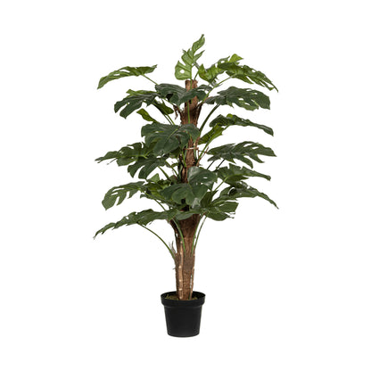 Monstera Pertusum umělá
