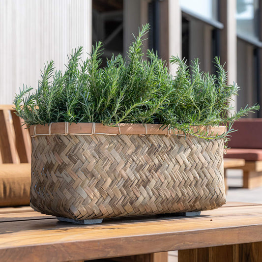 Nouri Bamboo