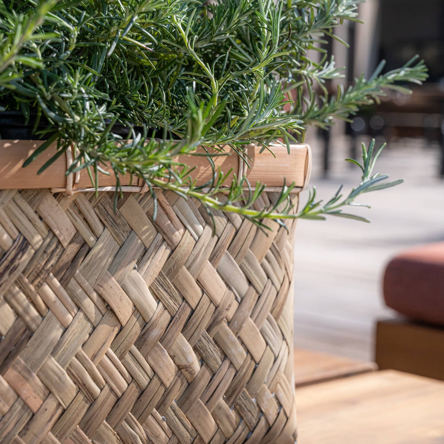 Nouri Bamboo