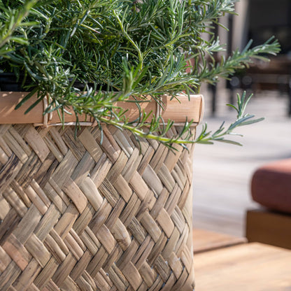 Nouri Bamboo