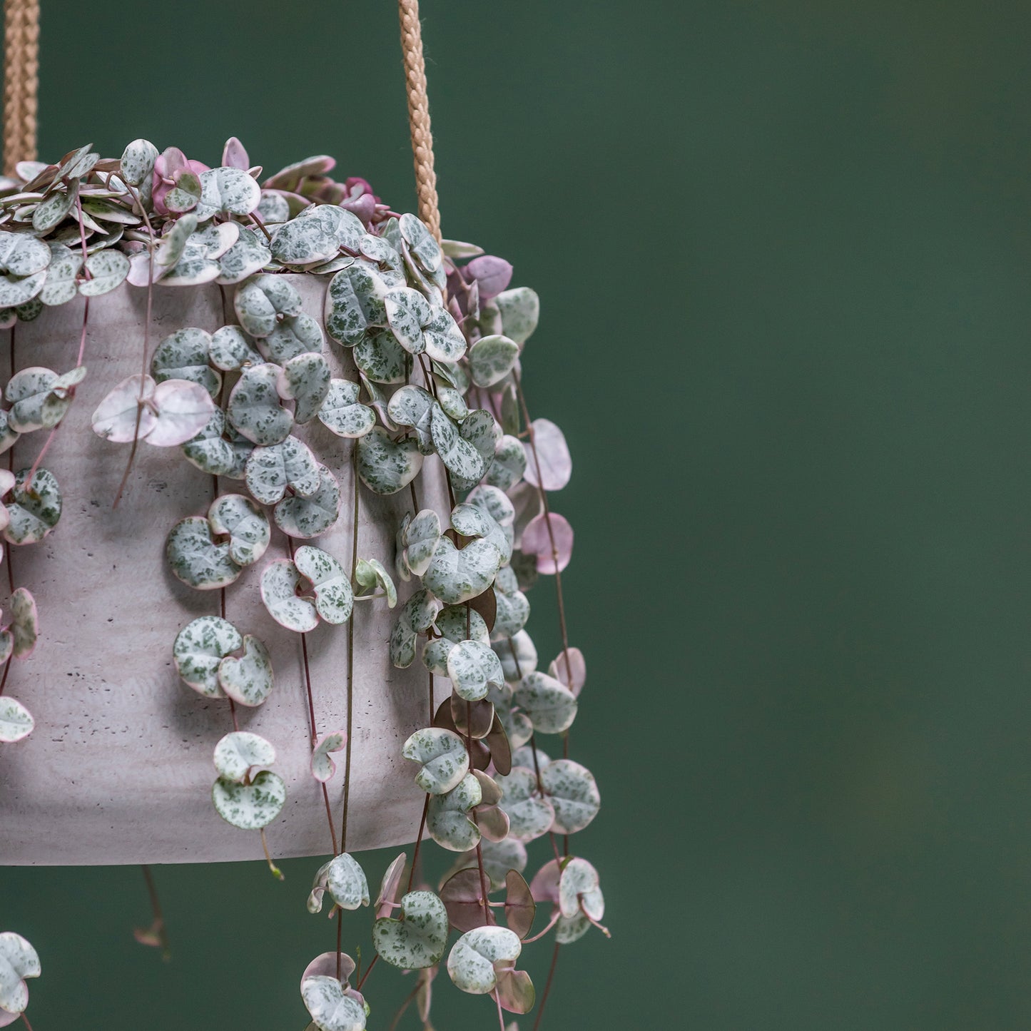 Patt Grey Washed (Hanging)