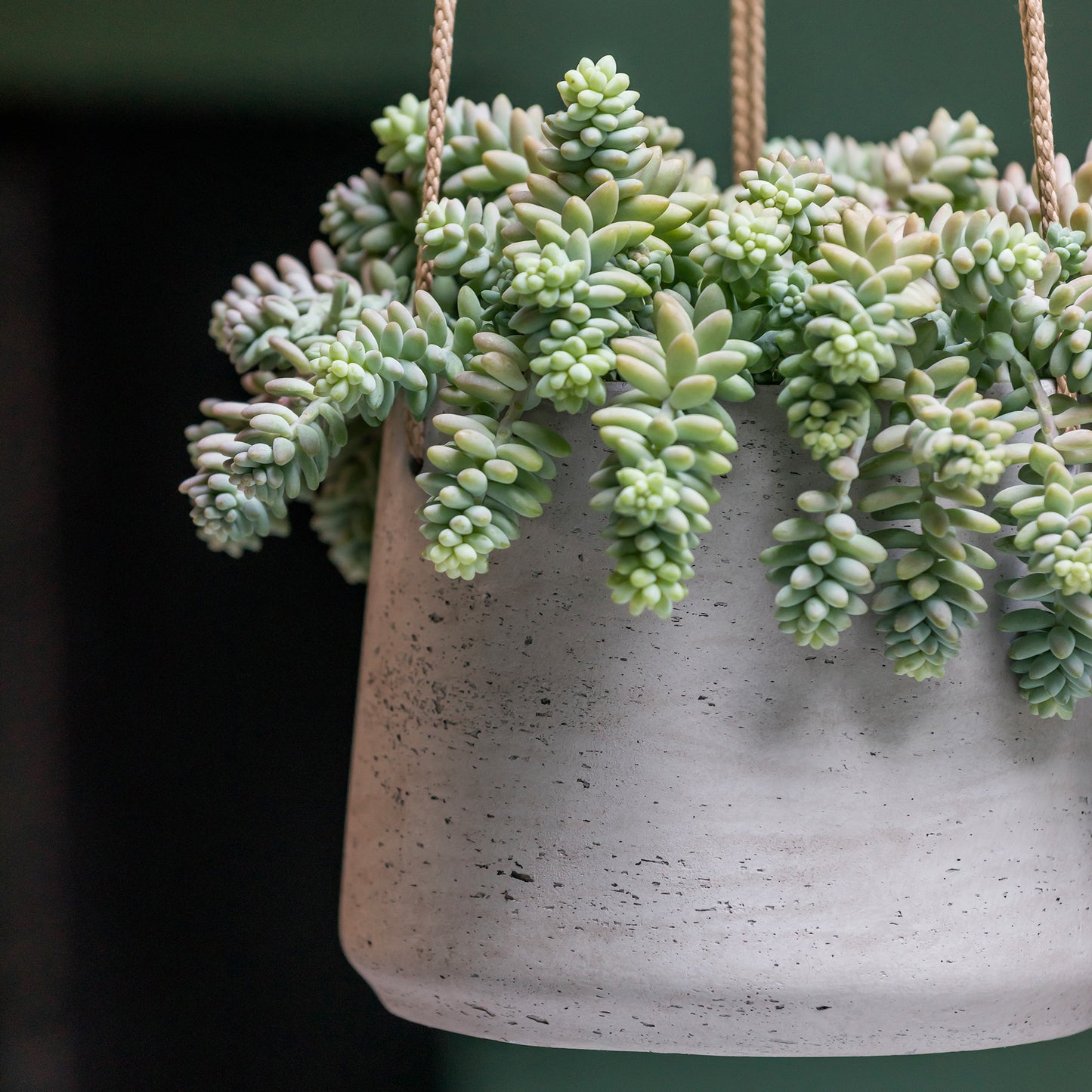 Patt Grey Washed (Hanging)