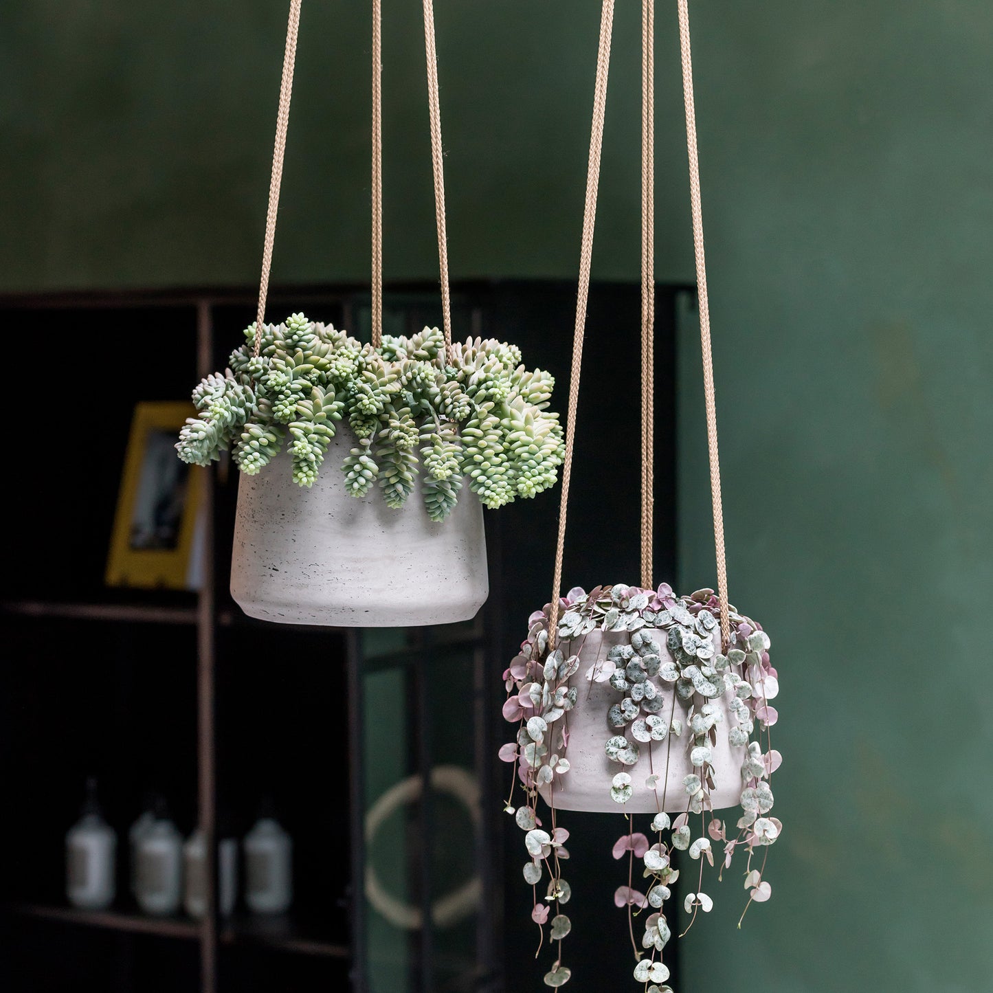 Patt Grey Washed (Hanging)