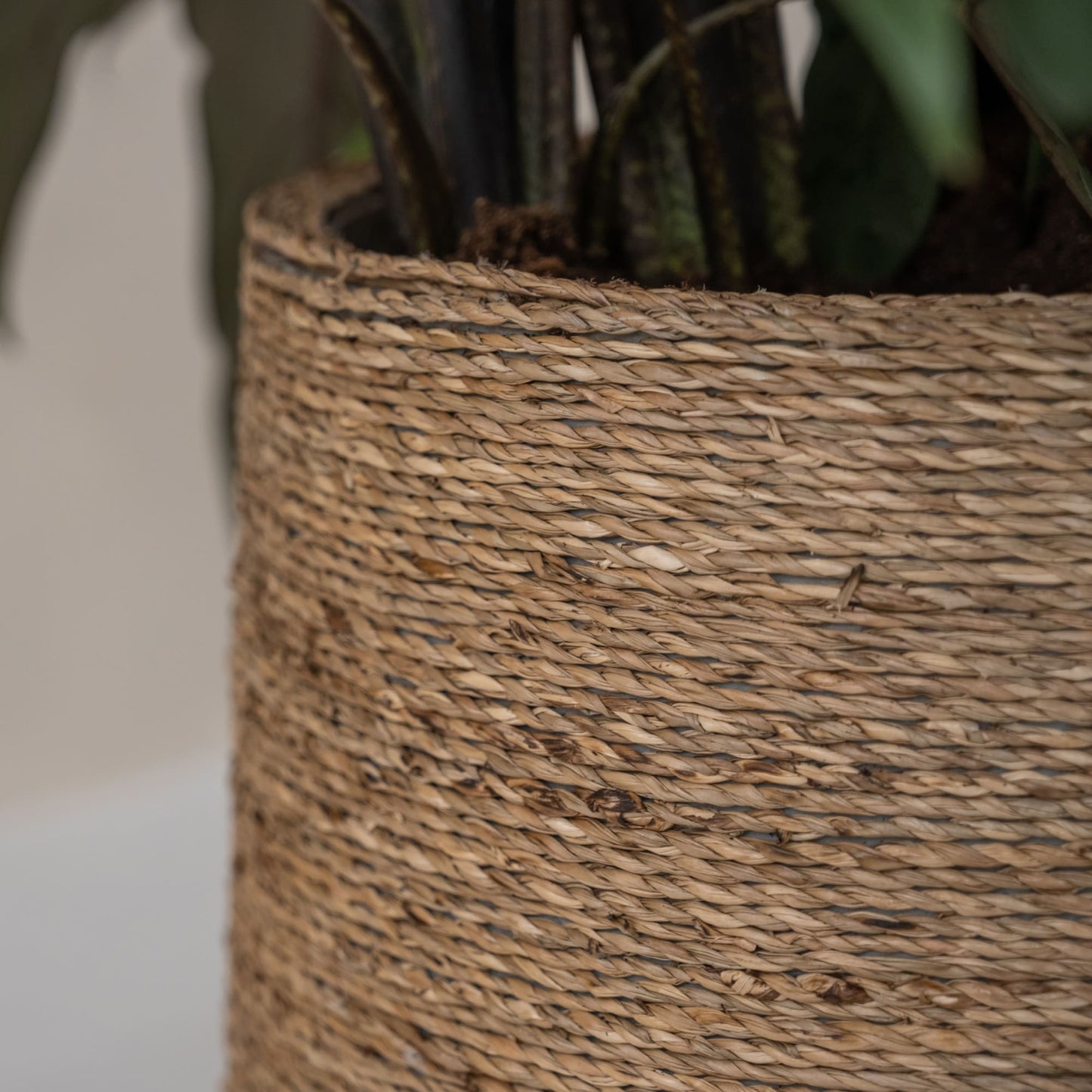 Patt Straw Grass