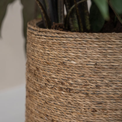 Patt Straw Grass