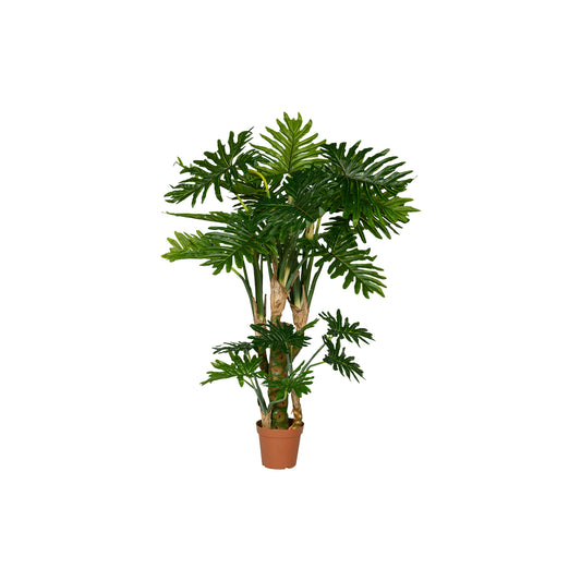 Filodendron umělý