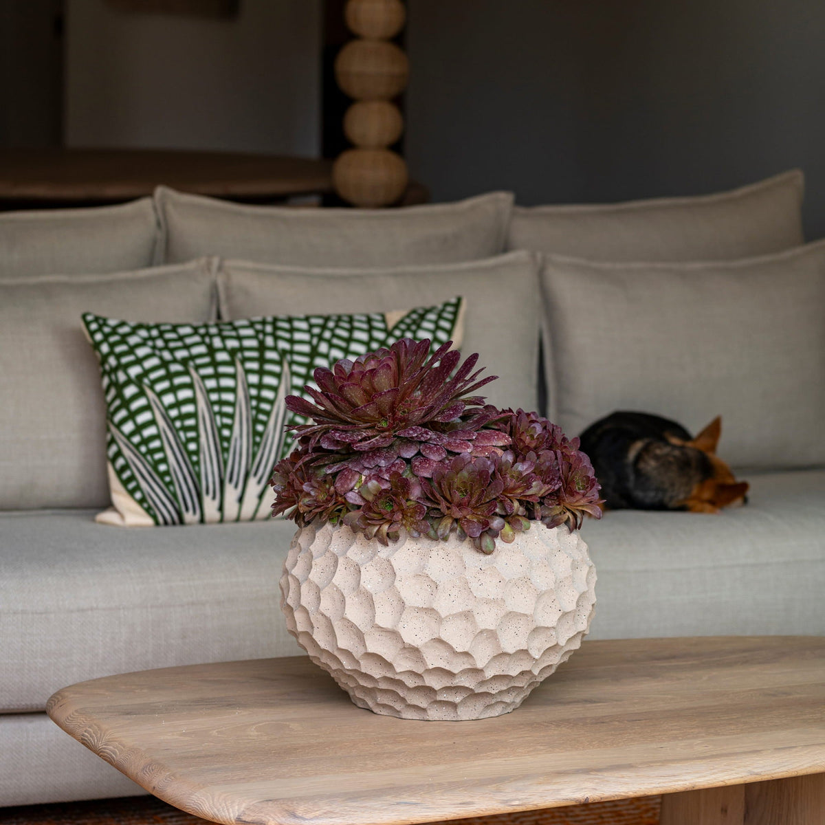 Thur Baked Sand