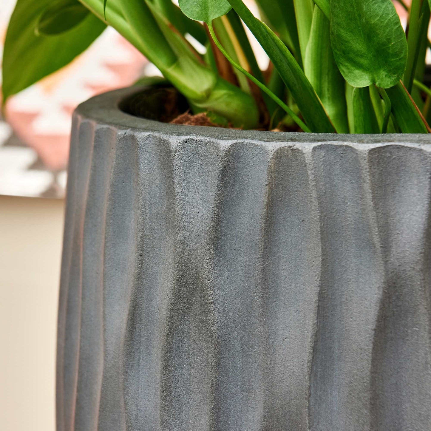 Bond Charcoal Cement