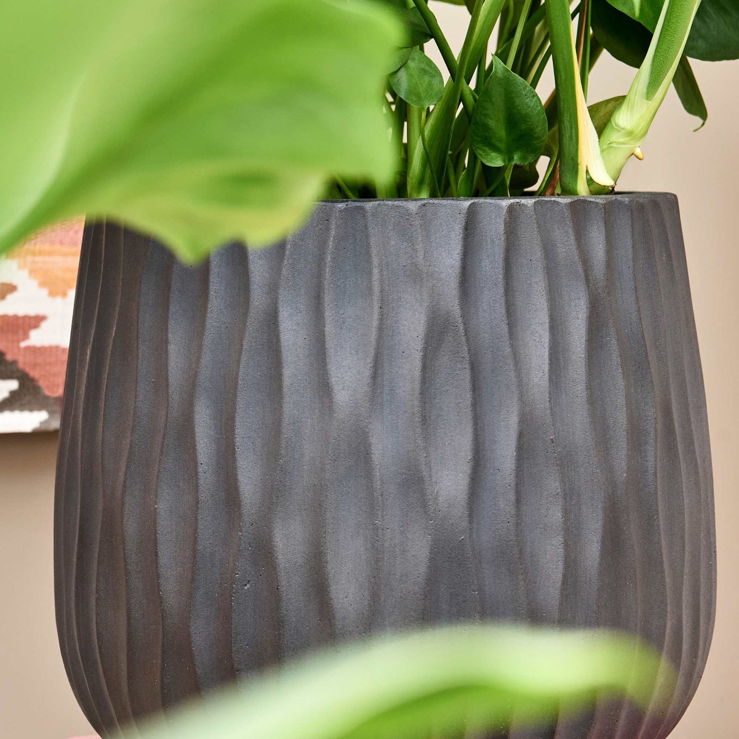 Pax Charcoal Cement