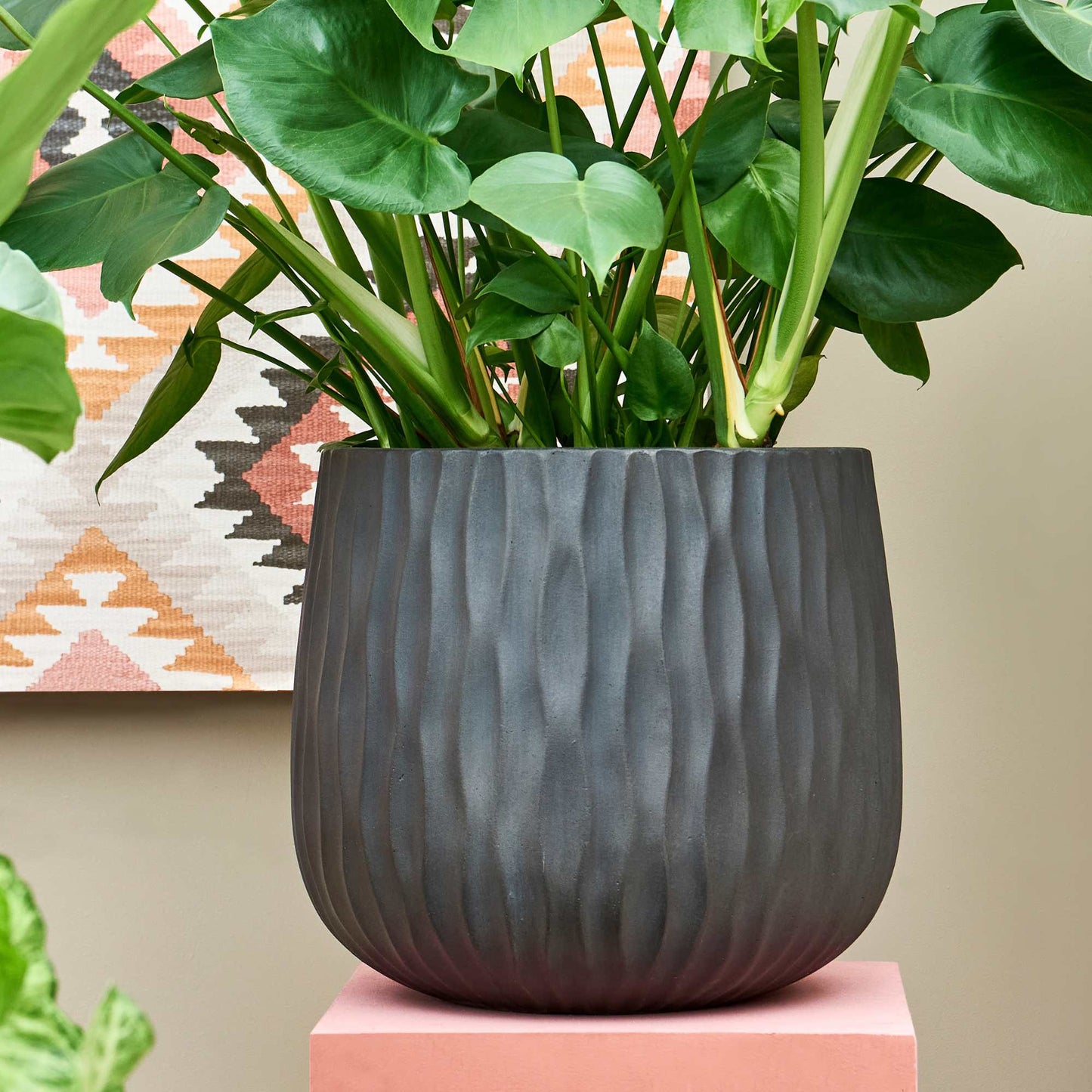 Pax Charcoal Cement