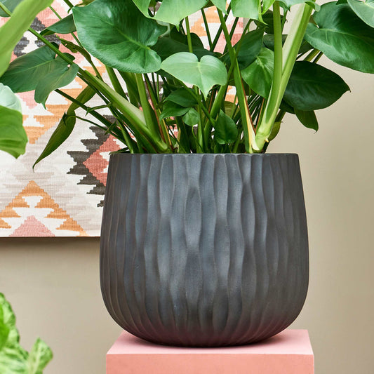 Pax Charcoal Cement