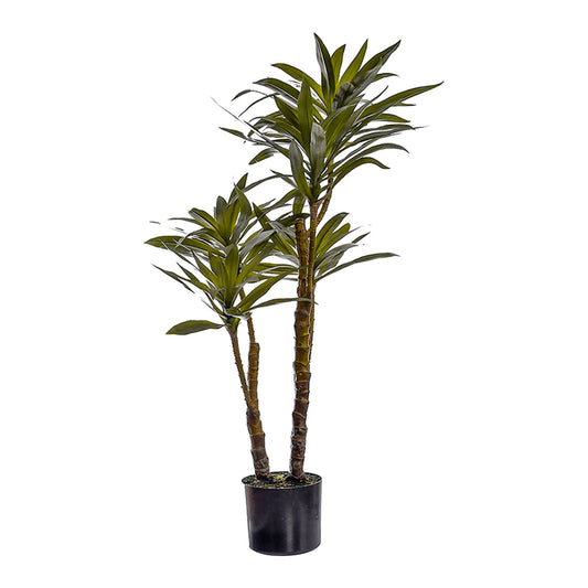 Yucca umělá