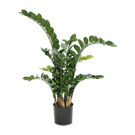 Zamioculcas Zamiifolia umělý