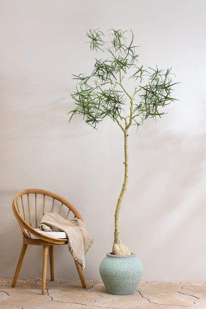 Zeus Rustic Green